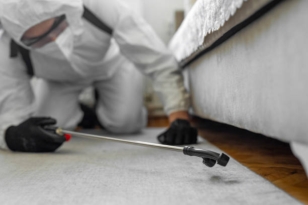 Professional Wasp Control technician working in White Meadow Lake, NJ