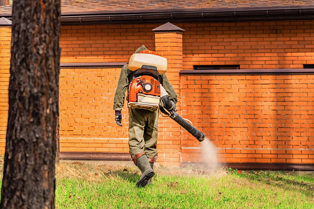 Trusted Mosquito Control service in White Meadow Lake, NJ - Nex Pest Control